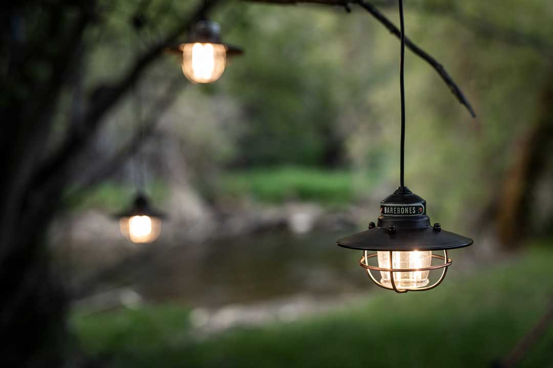 Battery operated edison store string lights