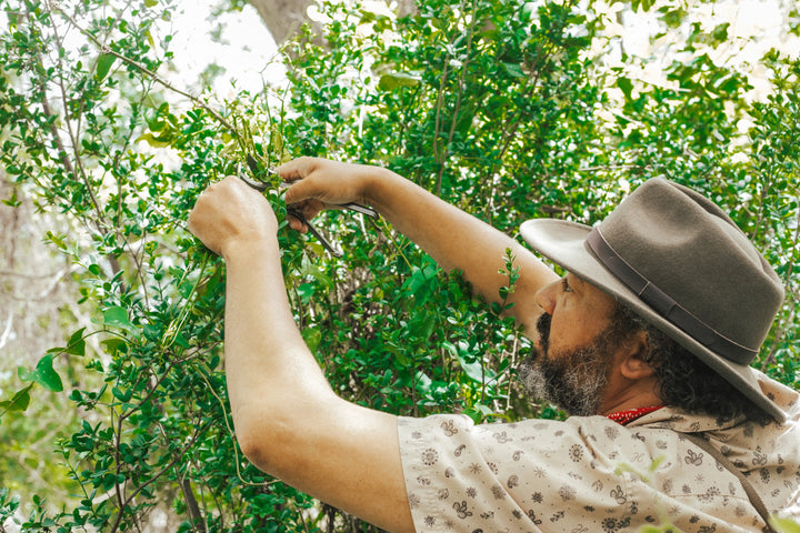 Summer Gardening Tips With @HeyGardenZaddy