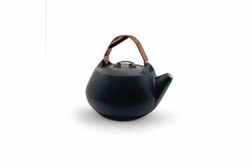 Enamel Lined Cast Iron Teapot