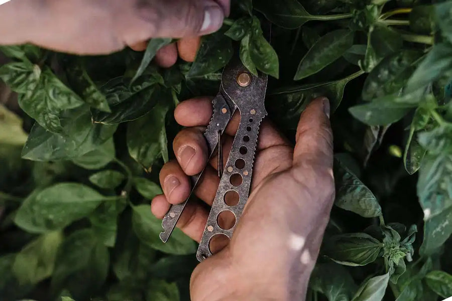 Herb Harvest Strip Tool - Tumbled Black