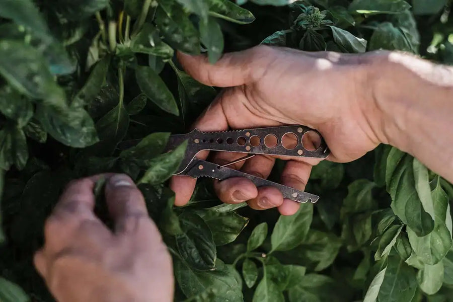 Herb Harvest Strip Tool - Tumbled Black