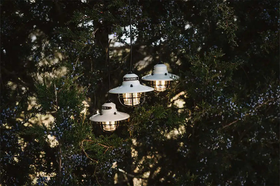 Edison Lights String Png Edison String Lights (Vintage White) | Barebones Australia - Barebones ...