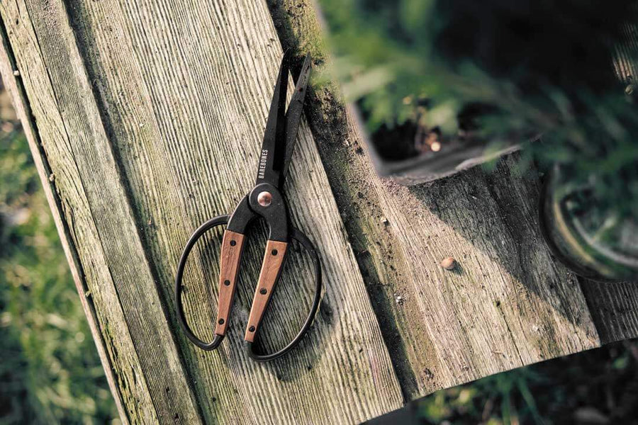 walnut garden scissors Garden Scissors with Steel Blades and Walnut Handle by Barebones Living Australia