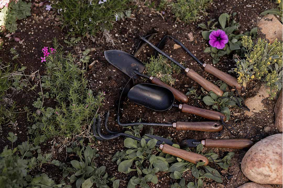 gardening potting scoop barebones australia
