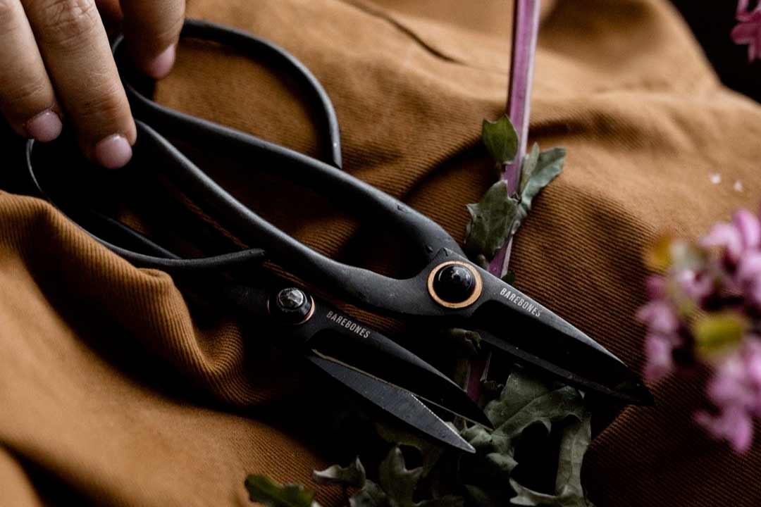 Barebones scissors discount
